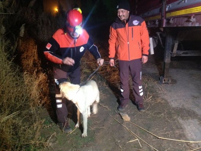 Mahsur Kalan Köpek AFAD  Ekiplerimizce Kurtarıldı