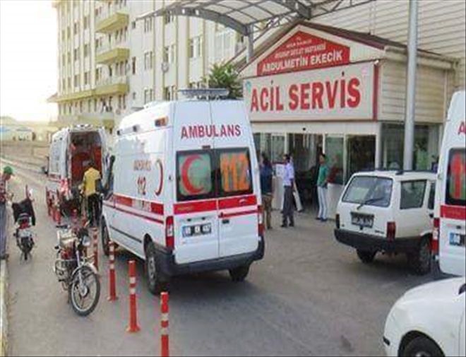 Veteriner Hekim Yaralandı | aksarayhaber68