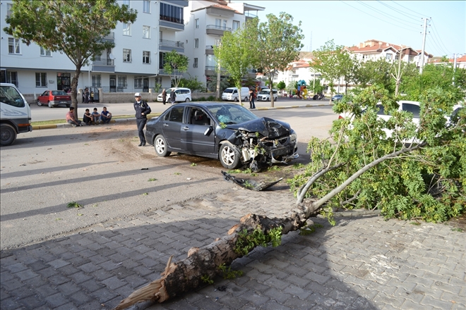 Otomobil ağaca çarptı:4 yaralı