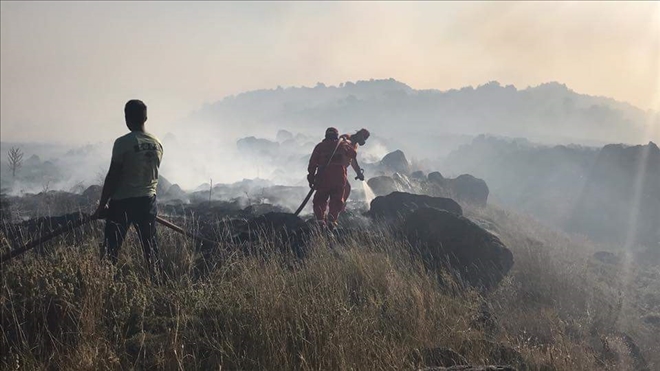 Aksaray Hasan Dağı Ormanlık alanda yangın