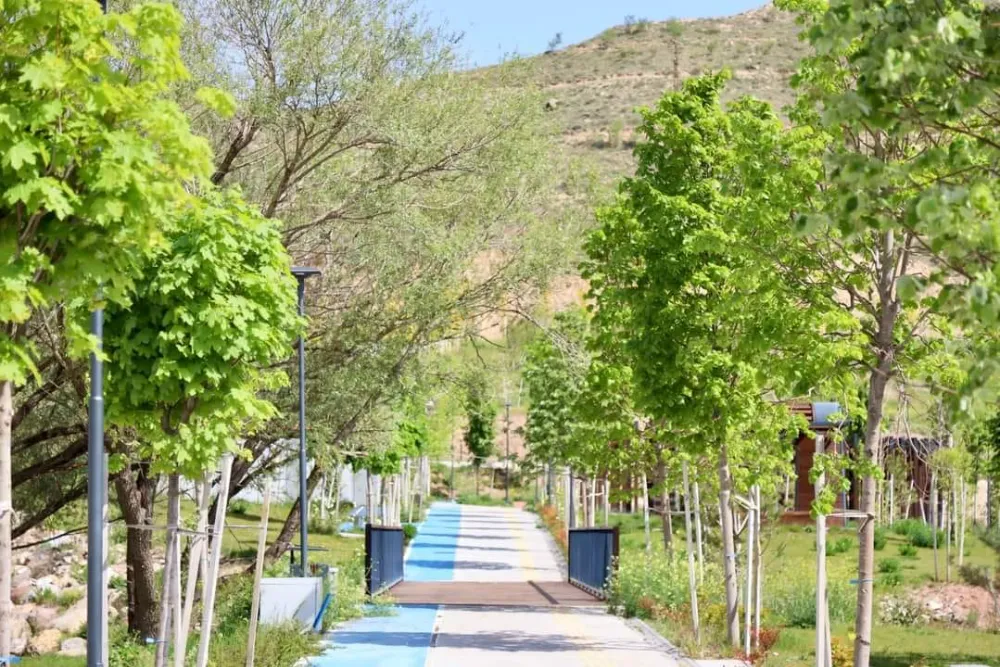 Aksaray Belediyesi ağaç dikme seferberliği başlattı 
