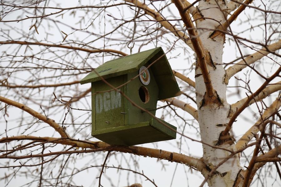Kampüsteki ağaçlara kuşlar için yuva yerleştirildi