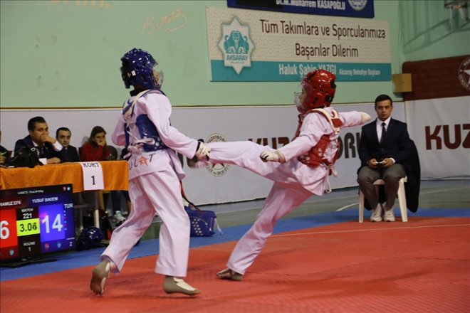 Taekwondo Analig Müsabakaları Aksaray´da başladı 