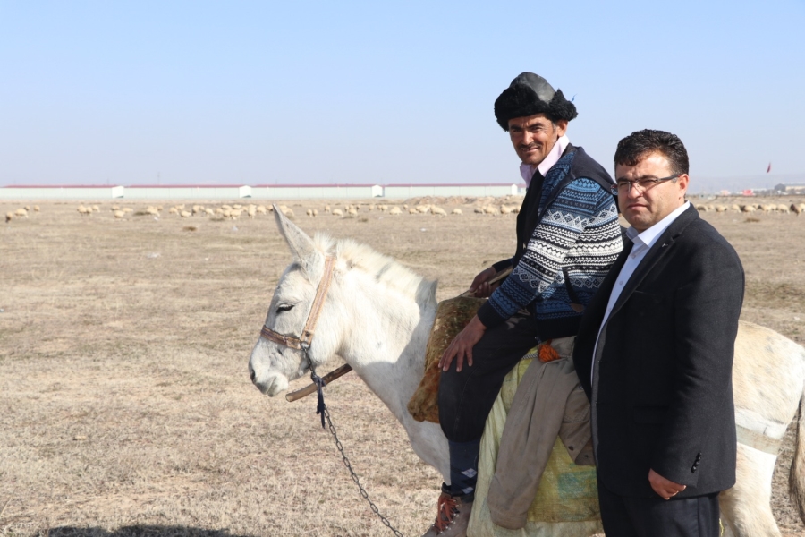Aksaray’da çobanlar Orta Asya’da gelerek mandıra ve işletmelerde çalışıyor