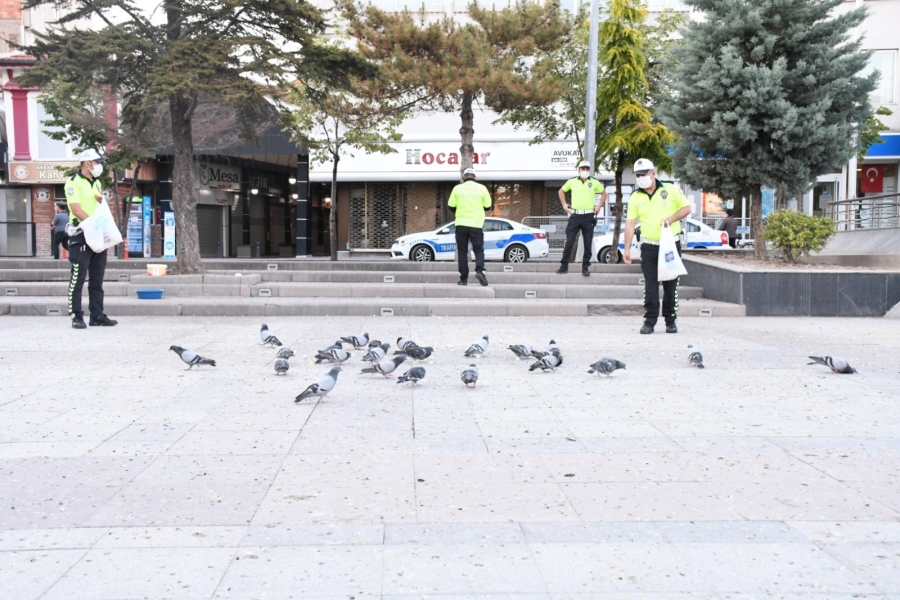 Boş meydanda aç kalan kuşları polisler besledi