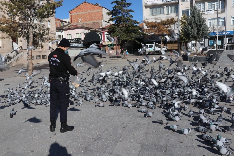 Aç kalan güvercinlerin imdadına polisler yetişti