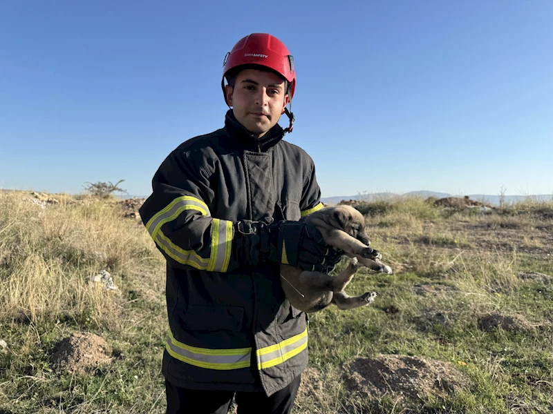 2 metre derinliğindeki yarığa düşen 2 yavru köpek kurtarıldı