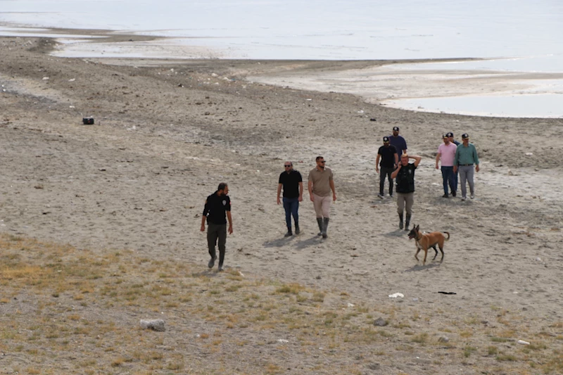 Rojini arama çalışmalarında kadavra köpekleri de kullanılıyor