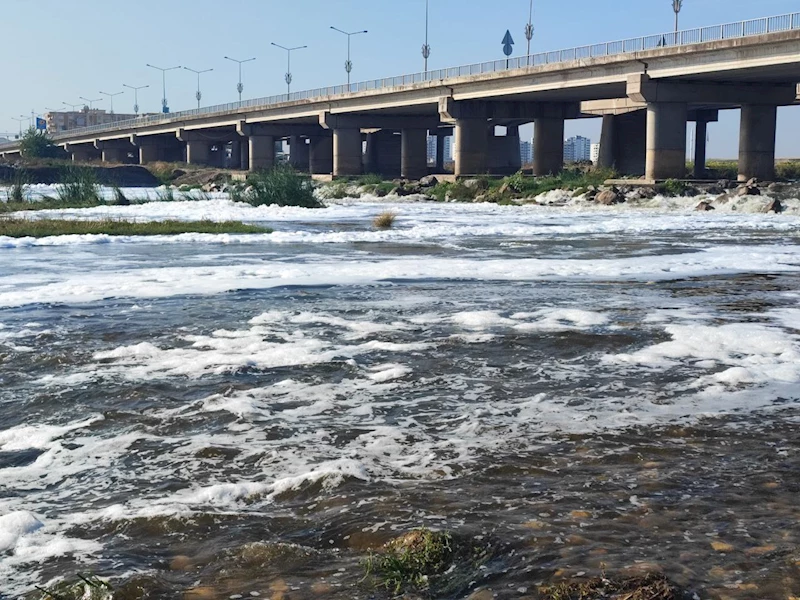 Dicle Nehri