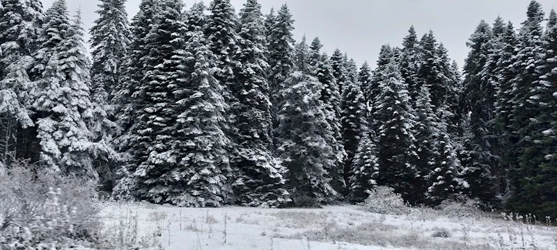 Bolu’nun yüksek kesimleri beyaza büründü