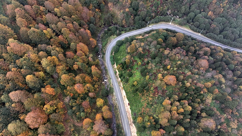 Doğu Karadeniz’de sonbahar manzaraları