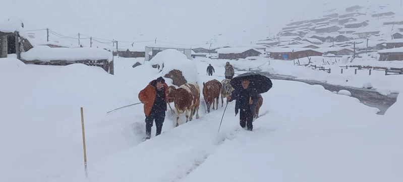 Yaylalarda beyaz güzellik; geri dönüş hızlandı