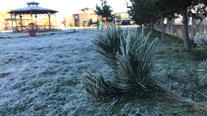 Ardahan’da soğuk hava ve kırağı etkili oldu