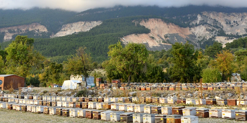 ANTALYA Türkiye