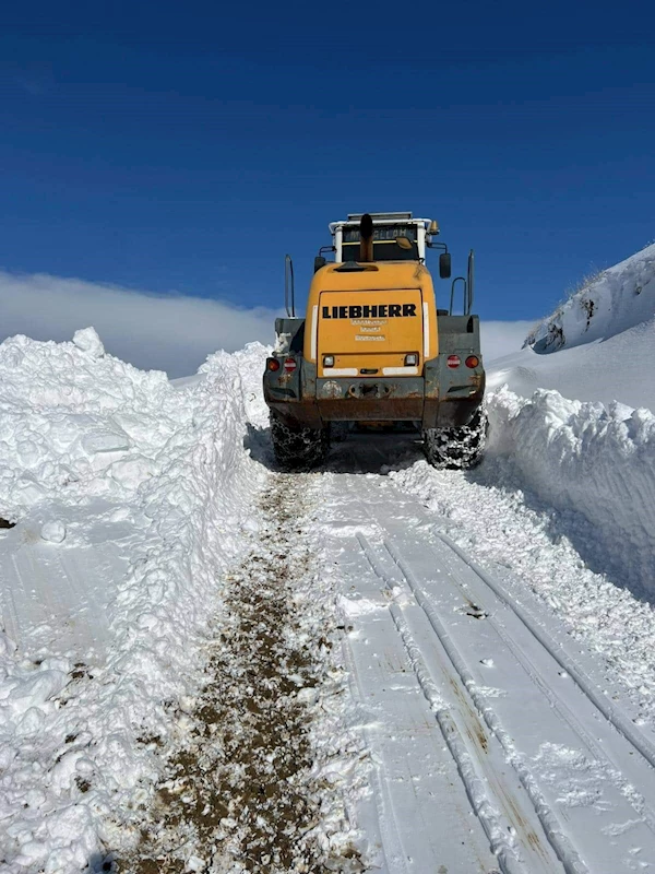 Hakkari