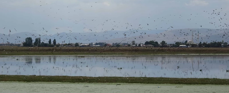 Yağmur sularıyla Erzurum Ovası