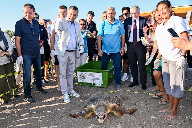 Yaralı 2 caretta carettal tedavi ve rehabilitasyon sonrası denize bırakıldı