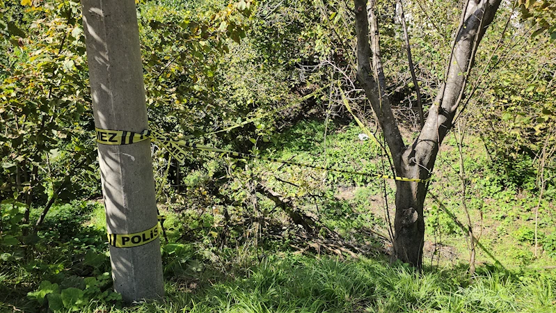 Fındık bahçesindeki kadını domuz sanıp, tüfekle vurarak öldürdü