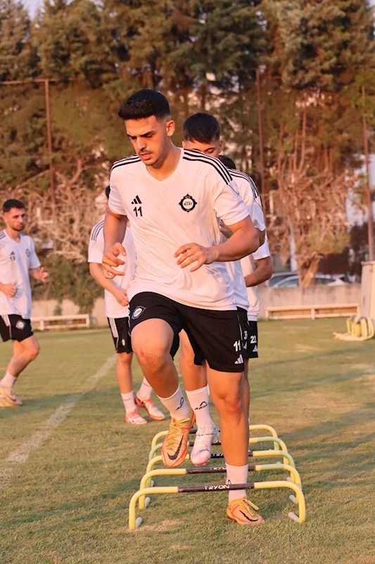 Altay