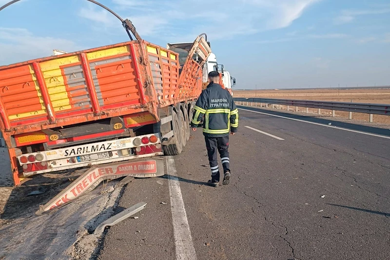 Bariyerlere çarpan TIR’ın dorsesindeki 2 büyükbaş öldü