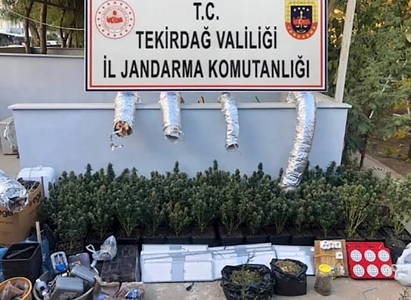 Evinde kurduğu düzenekle skunk bitkisi yetiştiren şüpheli yakalandı