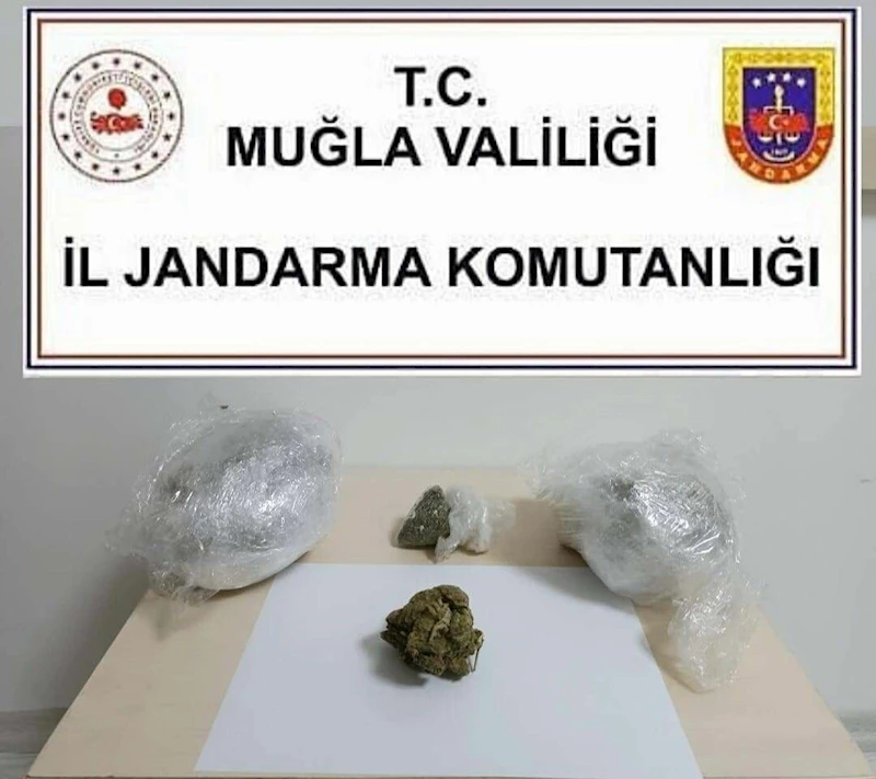 Ormanda 1 kilo skunk ele geçirildi; 3 gözaltı