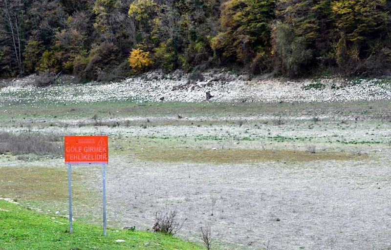 İstanbul - Barajlardaki doluluk oranı yüzde 30