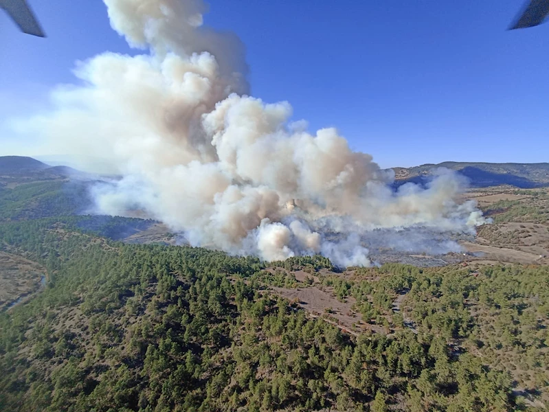 Bursa’nın 2 ilçesinde orman yangını