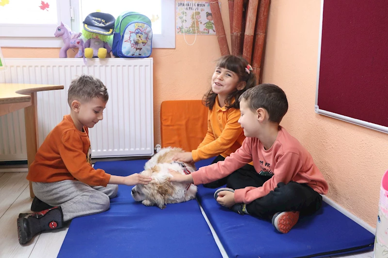 Bitkin ve hasta bulunan ‘Şeker’, okulda öğrencilerin ilgisiyle hayata tutundu / Ek fotoğraflar