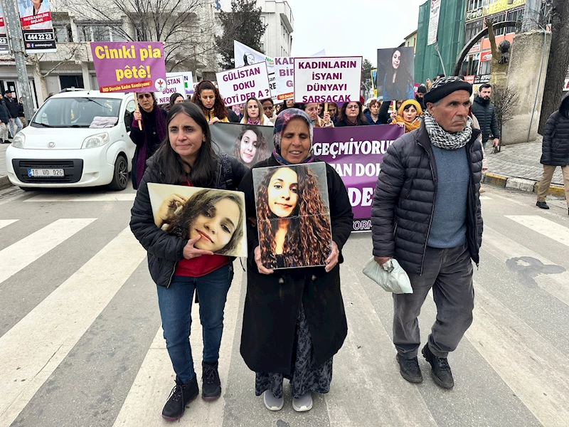 Tunceli’de kaybolan Gülistan Doku’dan 5 yıldır iz yok (2)