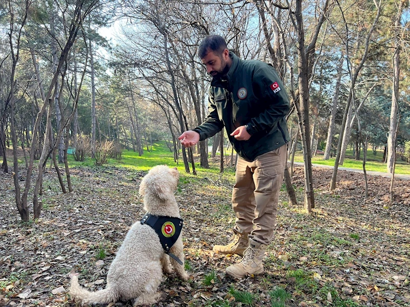 Ankara - Bakanlığın dedektör köpekleriyle 1 ayda 4,1 ton uyuşturucu ele geçirildi (Video eklendi) 