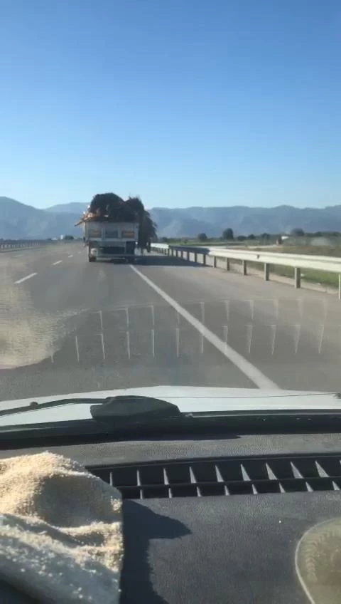 Tahta ve tomruklar yola saçıldı; şoför aldırmadan devam etti