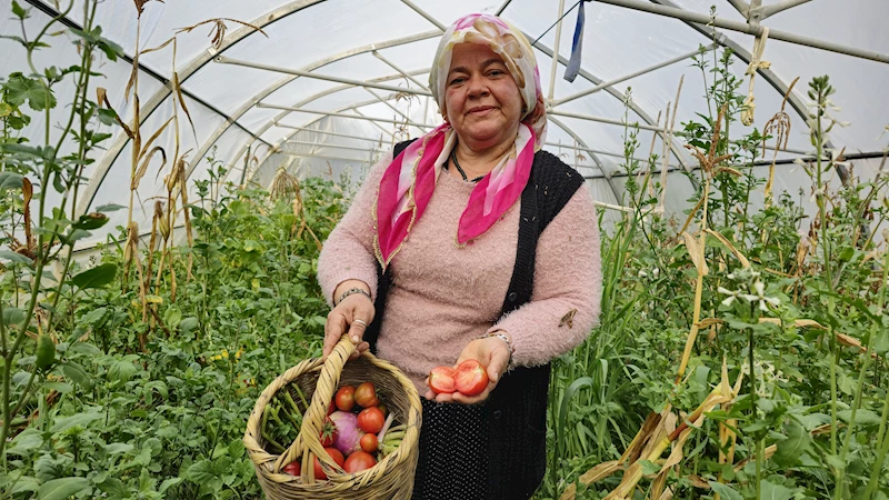 Eşi kaza geçirince çiftçiliğe başladı, hem çocuklarını büyüttü hem de evi geçindiriyor