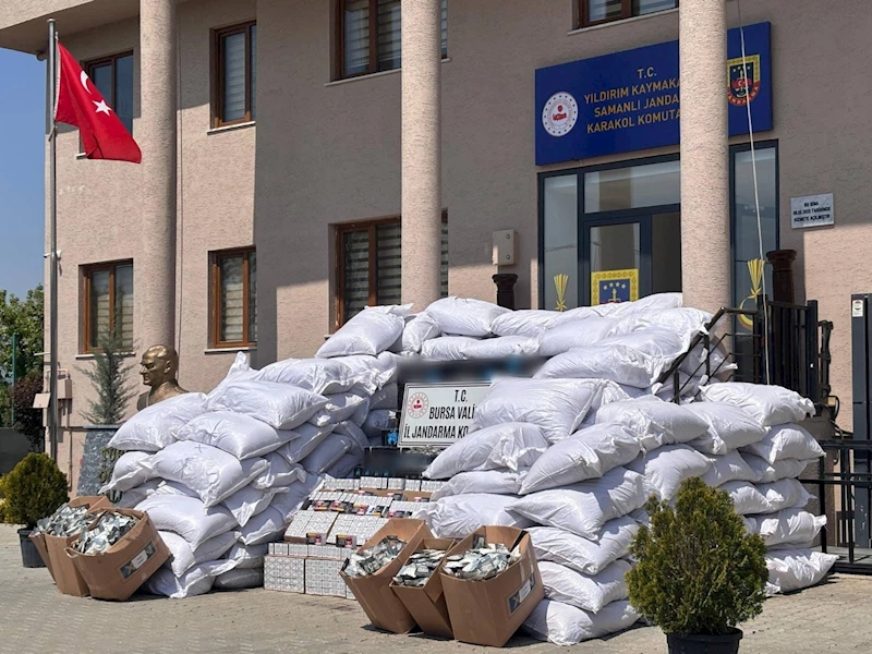 Bursa
