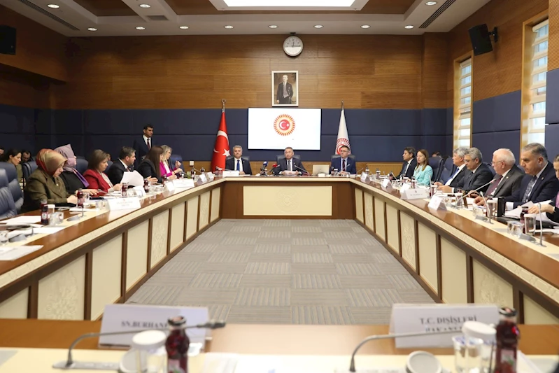 Dışişleri Komisyonu