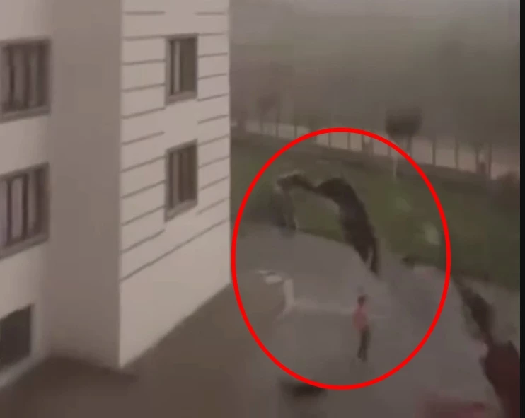 Diyarbakır ve Batman