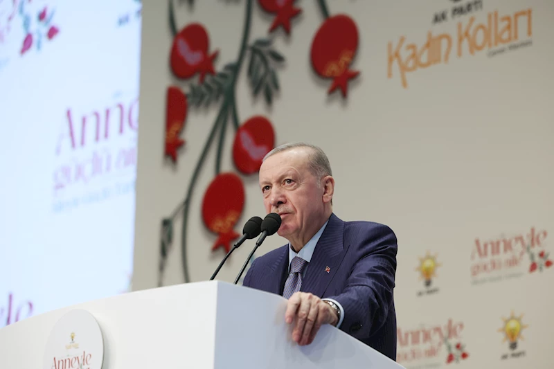 İstanbul- Cumhurbaşkanı Erdoğan: Terörsüz Türkiye hedefine giden yolda sağlam adımlarla ilerliyoruz / Geniş haber 