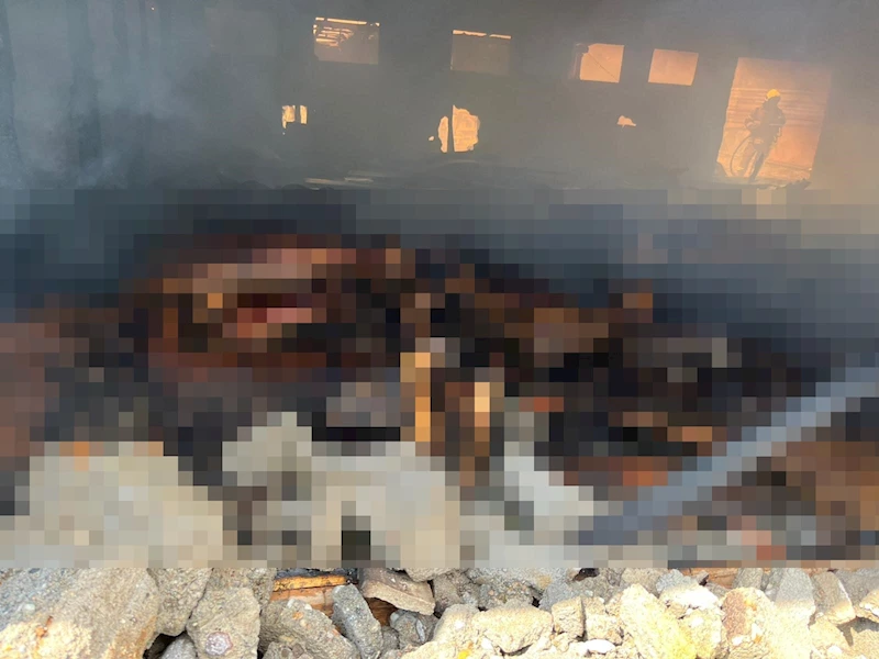 Ağılda çıkan yangında 42 küçükbaş öldü