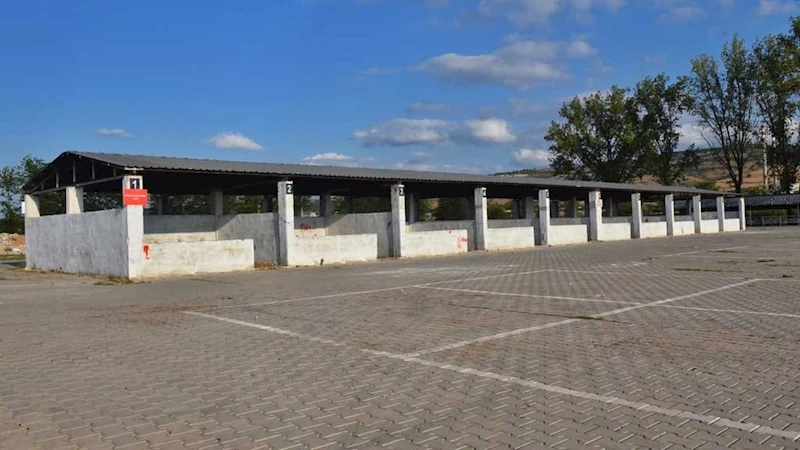 Yenişehir’de Kurban Bayramı öncesi şap karantinası; hayvan pazarı kapatıldı 