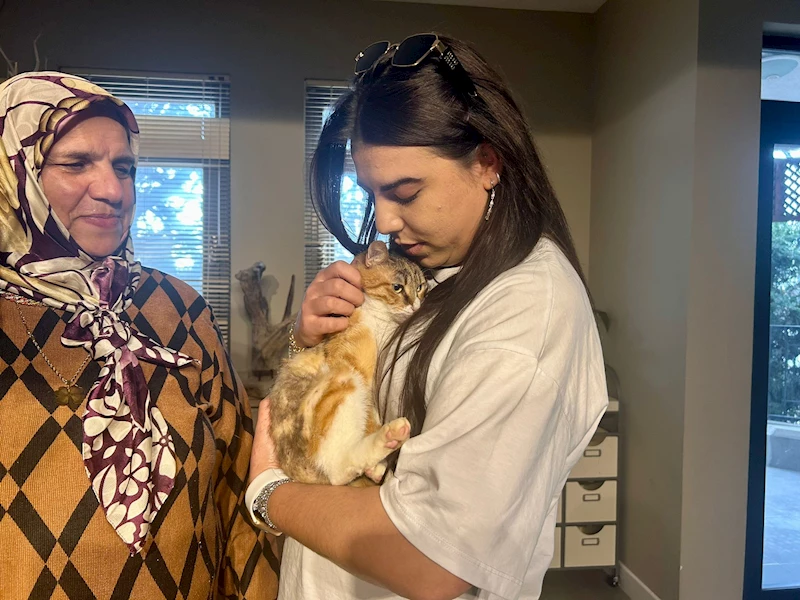 Ankara- Depremzede kedi 