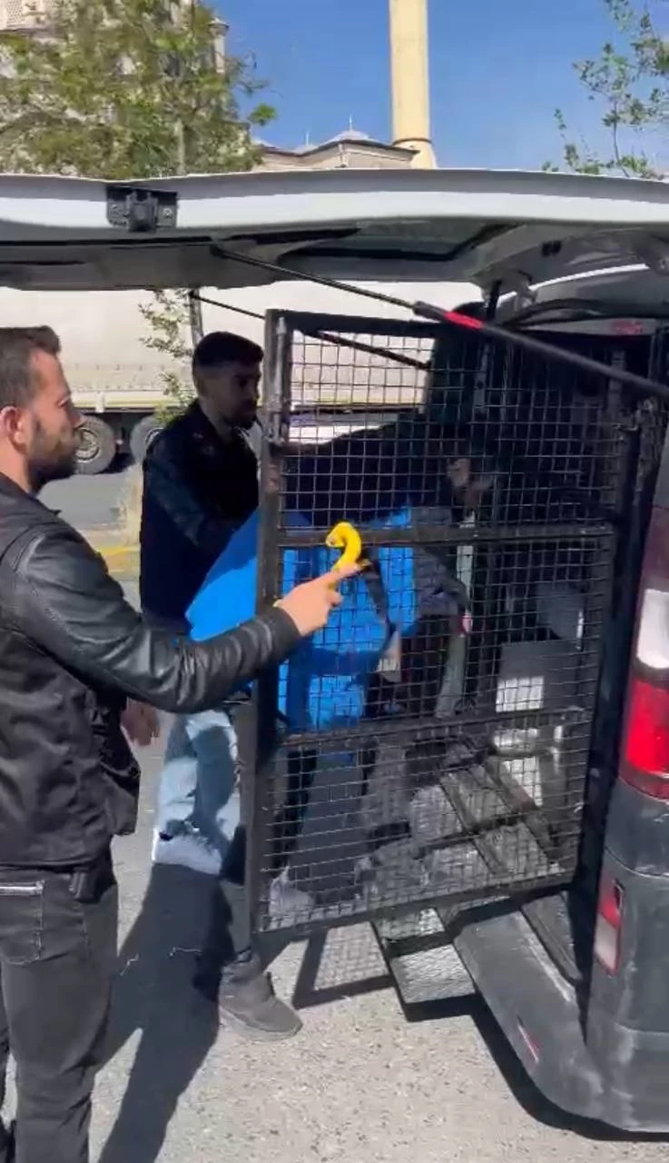 İstanbul - Bayrampaşa
