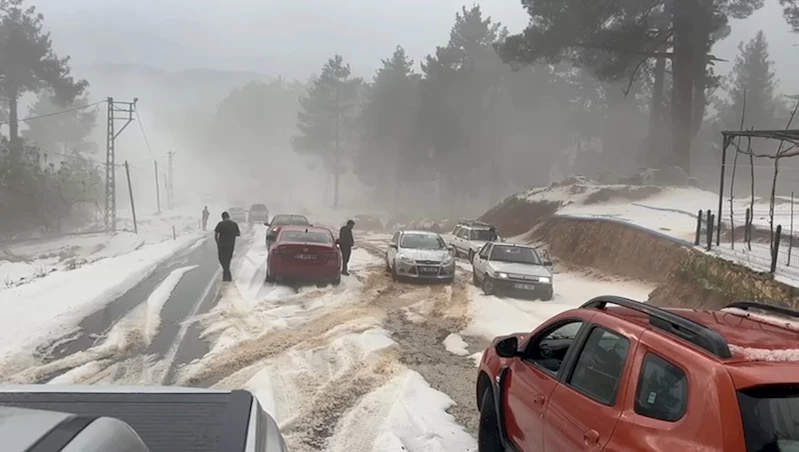 Çamlıyayla