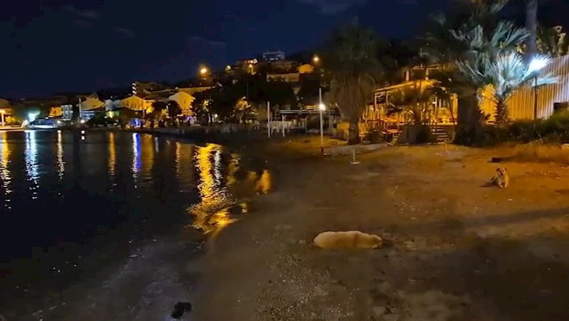 Muğla açıklarında 6 büyüklüğünde deprem / Ek fotoğraflar