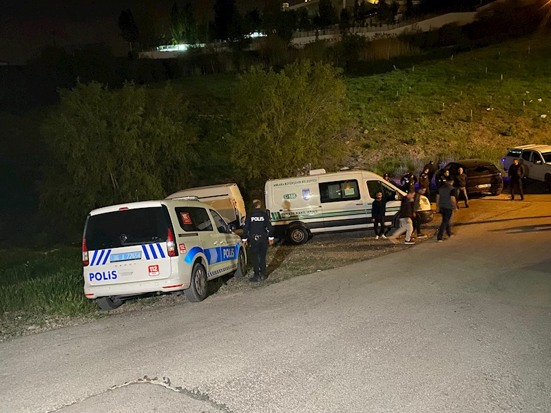 Ankara