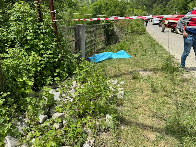 Arazi kavgasında kız kardeşi ile eniştesini öldürdü, yeğenini yaraladı