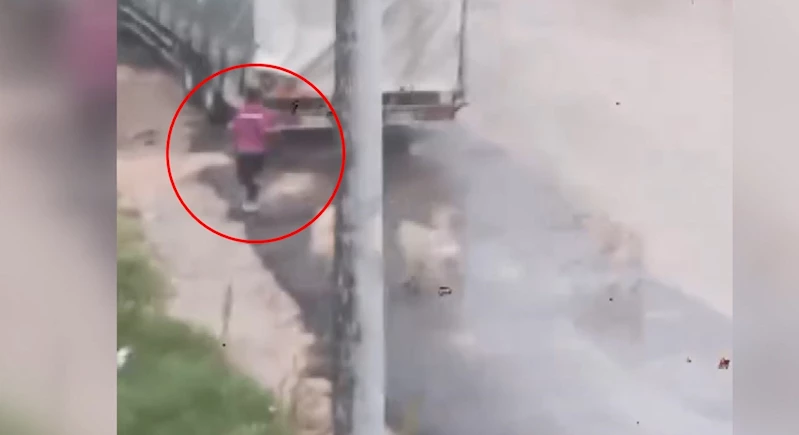 Başıboş köpeklerin çocuğu kovaladığı anlar kamerada 