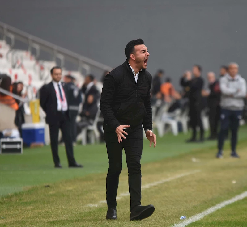 Altay