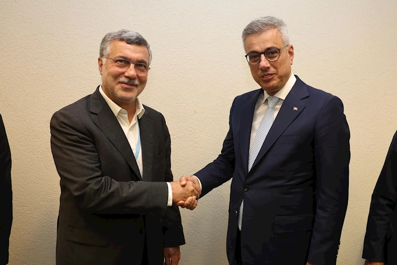 Bakan Memişoğlu, İran Sağlık Bakanı Zafergandhi ile bir araya geldi