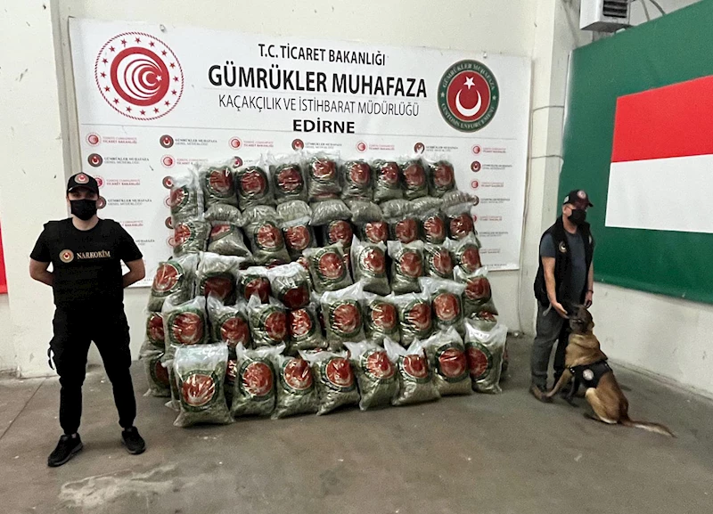  Gümrüklerde 418 milyon liralık uyuşturucu ve kaçak eşya ele geçirildi