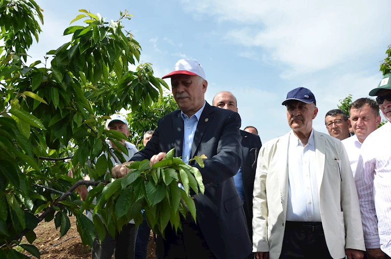 TZOB Genel Başkanı Bayraktar: Tarihin en büyük tarımsal afetini yaşıyoruz